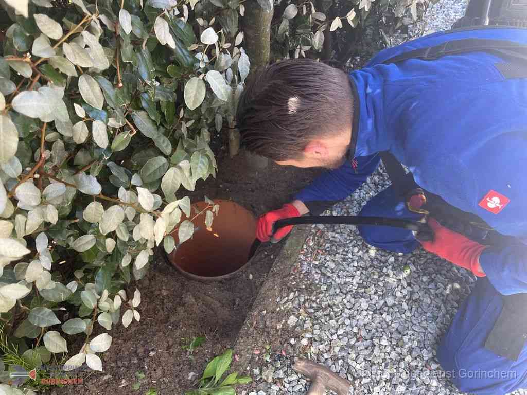 Rioolvliegjes Gorinchem Rioolvliegjes Gorinchem